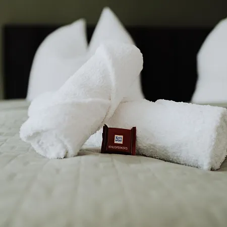 Elbzauber Fuer 6 L Parkplatz L Balkon Apartament Pirna