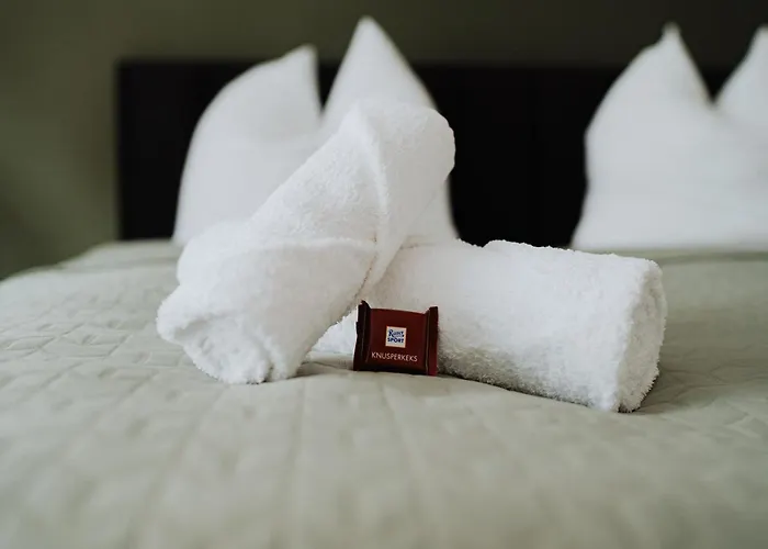 Elbzauber Für 6 L Parkplatz L Balkon Apartment Pirna